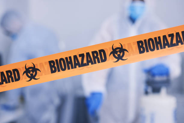 Professional Odor Removal technician working in Center Conway, NH